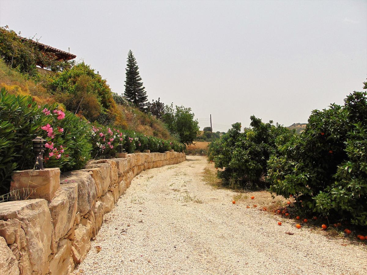 Golden Valley Skoulli